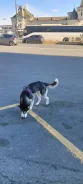 �����. ����