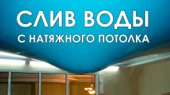 ���� ���� � �������� ��������. ����