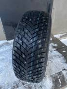 ZMax Winternova Stud II. , , 2024 ,  