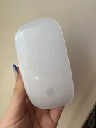 ��������. ����