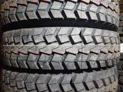Constancy DM55. �����������, 2024 ���, ����� ����