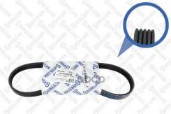 ������ ������������! 5PK700 Ford Focus II/C-Max 1.8/2.0 04 Stellox 0500700SX, Citro? N BX Break (XB-_) Citro? N Dyane Stellox ���. 0500700SX 0500700SX...