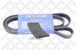  ! 6PK1705 Citroen C5 1.8/2.0 01, Peugeot 607 2.0/2.2 01 Stellox . 0601705SX 0601705SX 