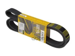 ������ ������������! 8PK1910MB Atego OM904LA Zentparts ���. Z22970 Z22970 ����