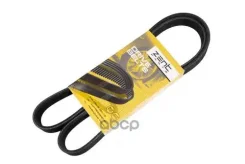 ������ ������������! 6PK1185 VW Polo 1.4/1.6 97-02 Zentparts Z22609 Z22609 ����