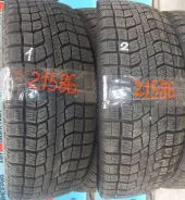 Falken Espia EP01