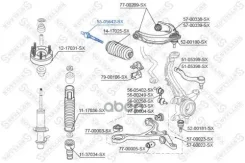 ���� �������! L=145 Honda Accord all 98 Stellox 5505642SX 5505642SX ����