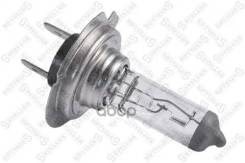 ����� ���������� H7 12V 55W (PX26D) Stellox ���. 9939036SX 9939036SX ����