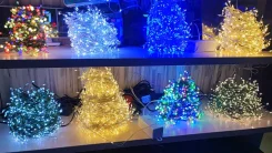 �������� ������������ �������� ���� 30�, ����