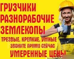 ��������. ����