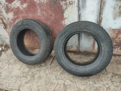 Bridgestone Blizzak MZ-01. ������, ��� �����, �/�, ����� 30 % ����