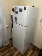 ������������. ����