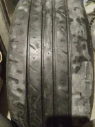 Rapid P309. ������, 2022 ���, �/�, ����� 80 % ����