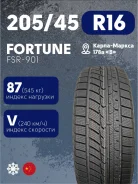 Fortune FSR-901. ������, ��� �����, 2023 ���, ����� ����