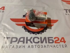 ������� ���������� ������ ceis22 CEIS22 ����