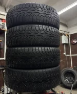 Triangle TR737. ������, ��� �����, �/�, ����� 10 % ����