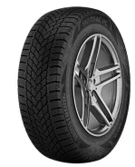 Armstrong Ski-Trac PC