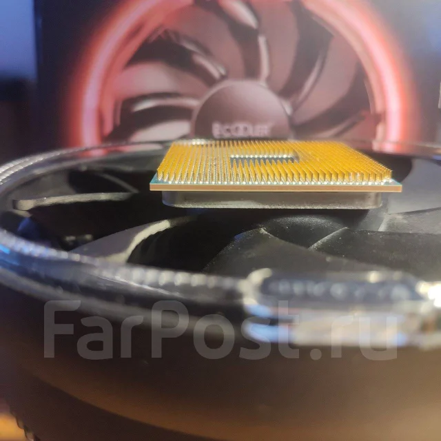 AMD Athlon 3000G ����
