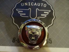 ������� �� ������� Jaguar ������� � ������ 70�� ����