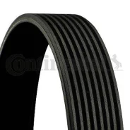 ������ ������������ Contitech 8PK1480 8PK1480 ����
