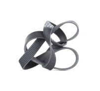 ������ ������������ Contitech 7PK1272 7PK1272 ����