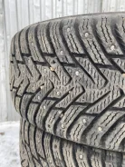 Nokian Hakkapeliitta 8. ������, ����������, �/�, ����� 10 % ����
