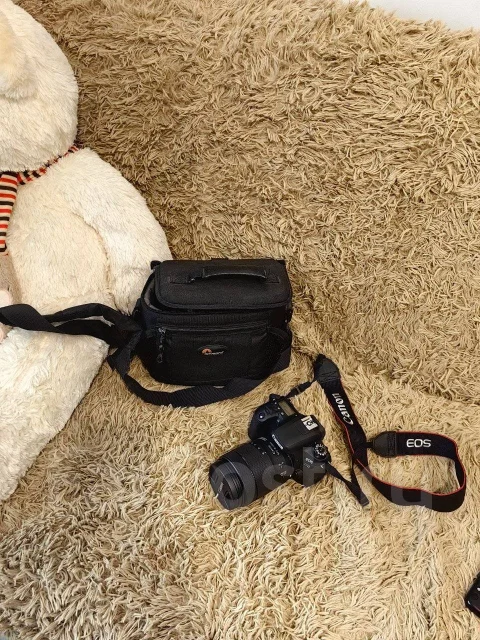 Canon EOS 77D. 20 � ����� ��, ���: 14� � ����� ����