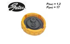 ������ ��������������� ����� (P = 1,2) Gates RC201 RC201 ����