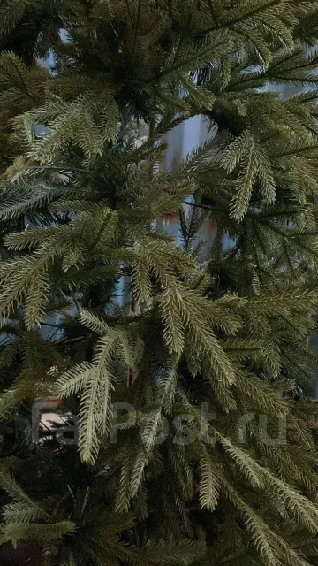 ���� �������������. ����