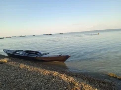 Seabo. 2023 ���, ����� 4��., ��������� ��� ���������, 1��.�. ����