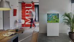 ���������. ����