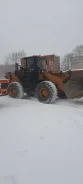 ������ ������������ ���������� ����
