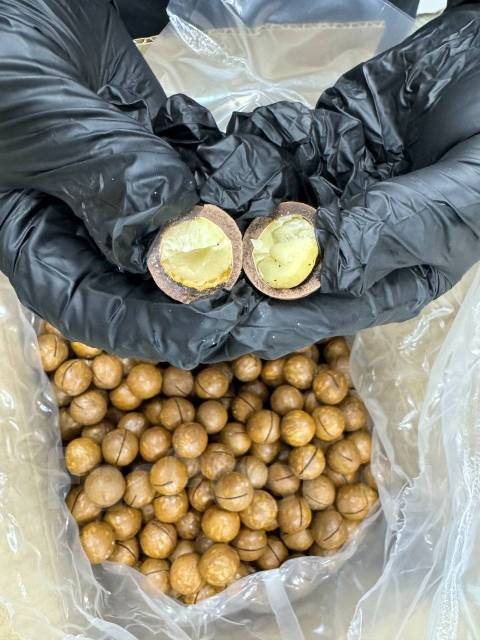 Макадамия Орех, в наличии. Цена: 707₽ во Владивостоке