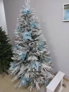 ���� �������������. ����