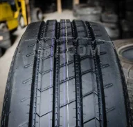 Constancy. ������, 2024 ���, ����� ����