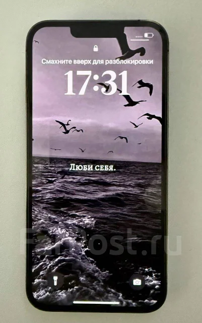 Apple iPhone 13 Pro. �/�, 256 ��, ������, 4G LTE ����