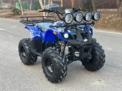 Grizzly. ��������, ��� ���\���, ��� ������� ����