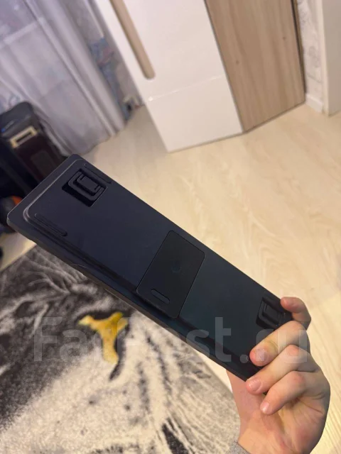 ����������. ����