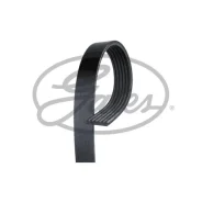 ������ ���������� 6PK2260 Gates 6PK2260 ����