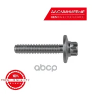 ���� ���� ������� M6x30 Mercedes LEDO ���. AK09503 AK09503 ����