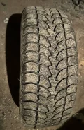 Evergreen IceTour i5. ������, ����������, 2022 ���, �/�, ����� 15 % ����
