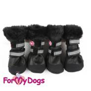 ������� ��� ����� ������ � ��������� ������ �� �3 = 5*4*8�� ������ Formydogs ����