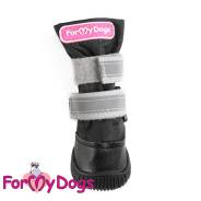 ������� ��� ����� � ��������� ������ �� p6-sh = 6,8*5,2*10�� ������ Formydogs ����