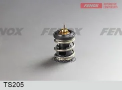 ��������� VW Polo 12- Skoda Rapid 14- Fenox ���. TS205 TS205 ����