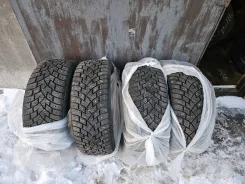 Zeta Antarctica Sport. ������, ����������, 2022 ���, �/�, ����� 10 % ����