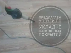 ������, ������ �����. ����