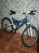 XDS ����