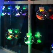 �������� ����� 2,5�*0,9� ������� ���� 100L ������� + ���������� 3 �. ����