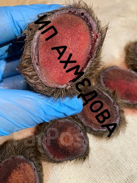 ����� � ���� ����