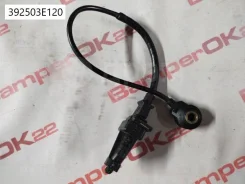 ������ ��������� Hyundai 392503E120 ����